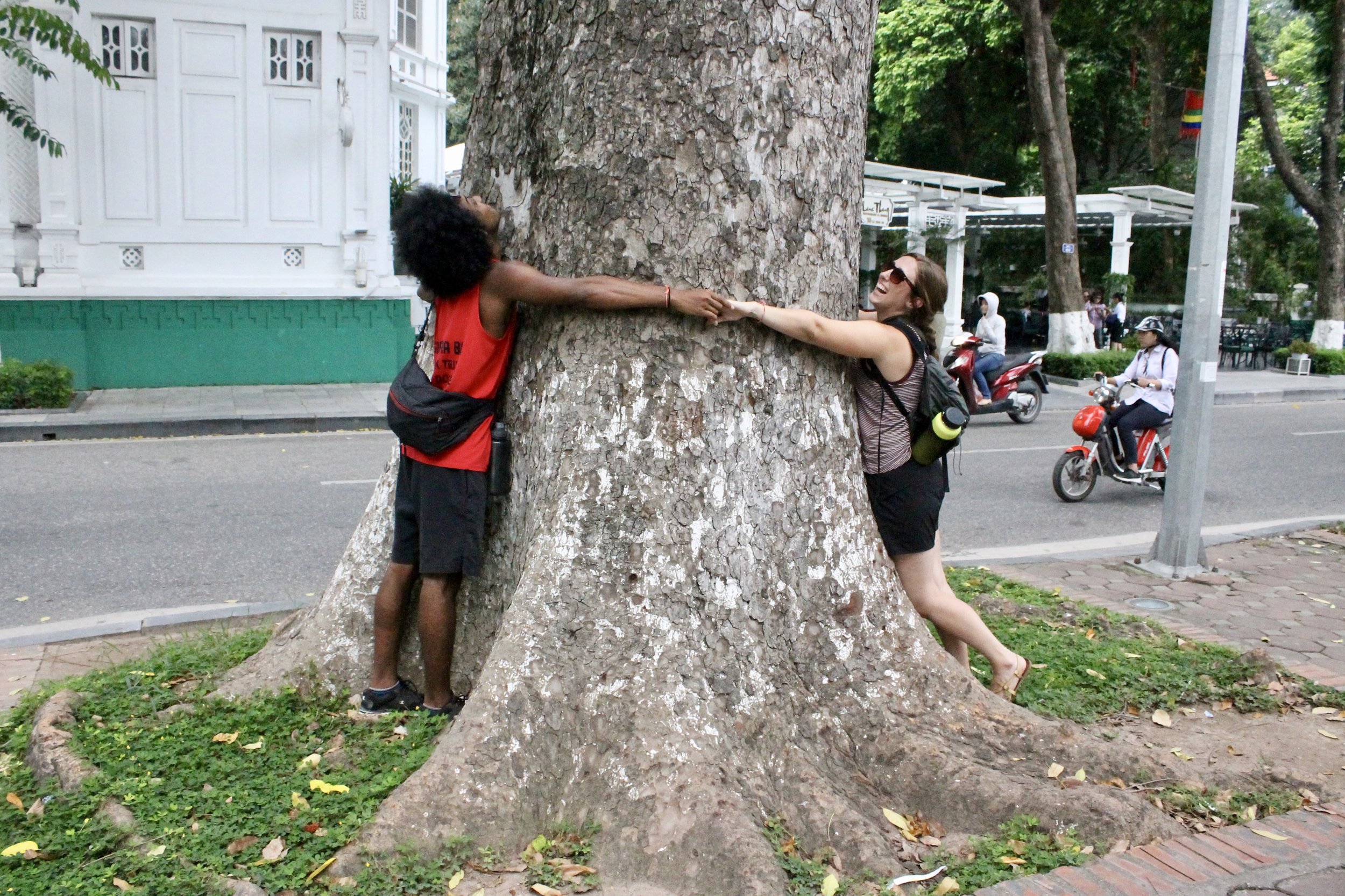  Measuring how old this tree is by how many people it takes to hug it. Three people = 300 years.&nbsp;    