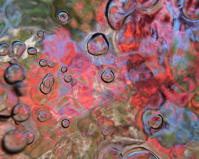 P1160126