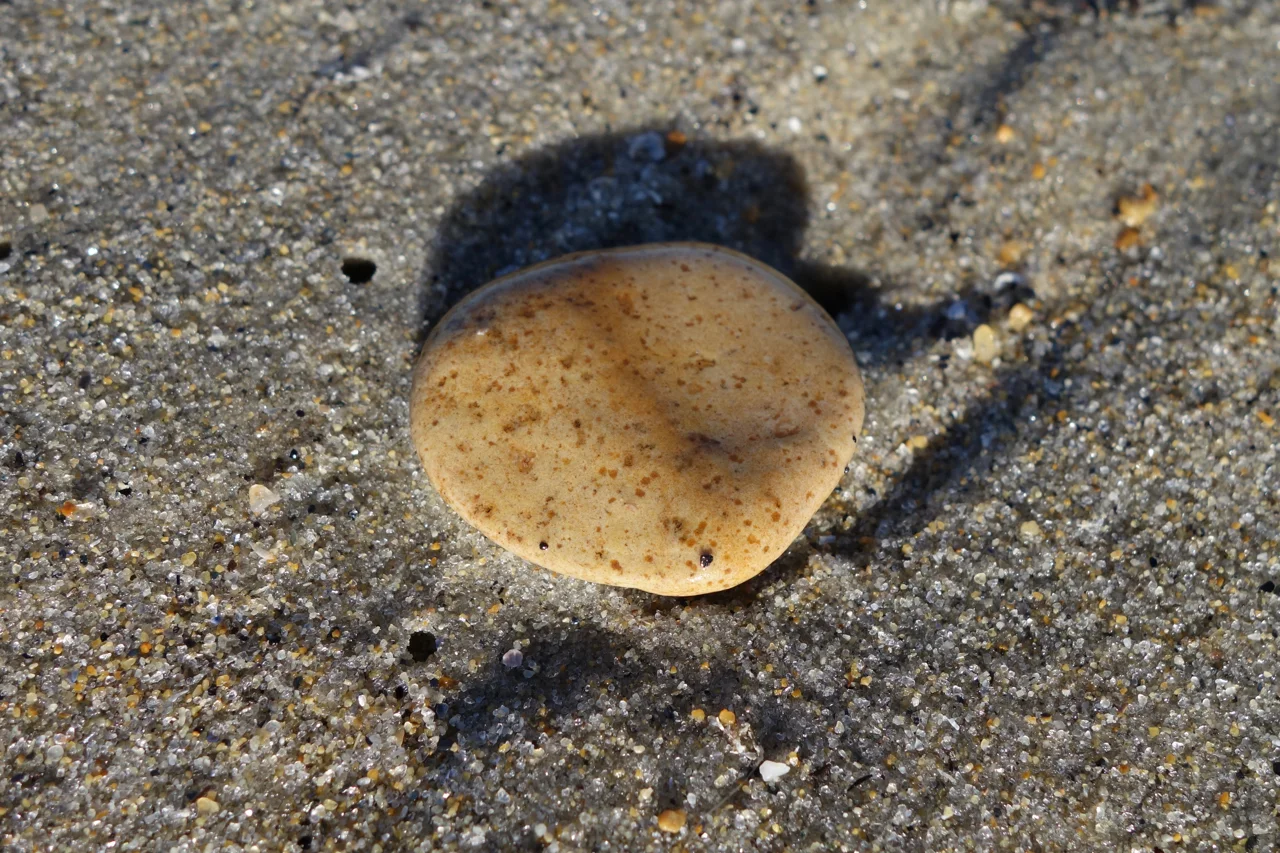 DSC07733.jpg