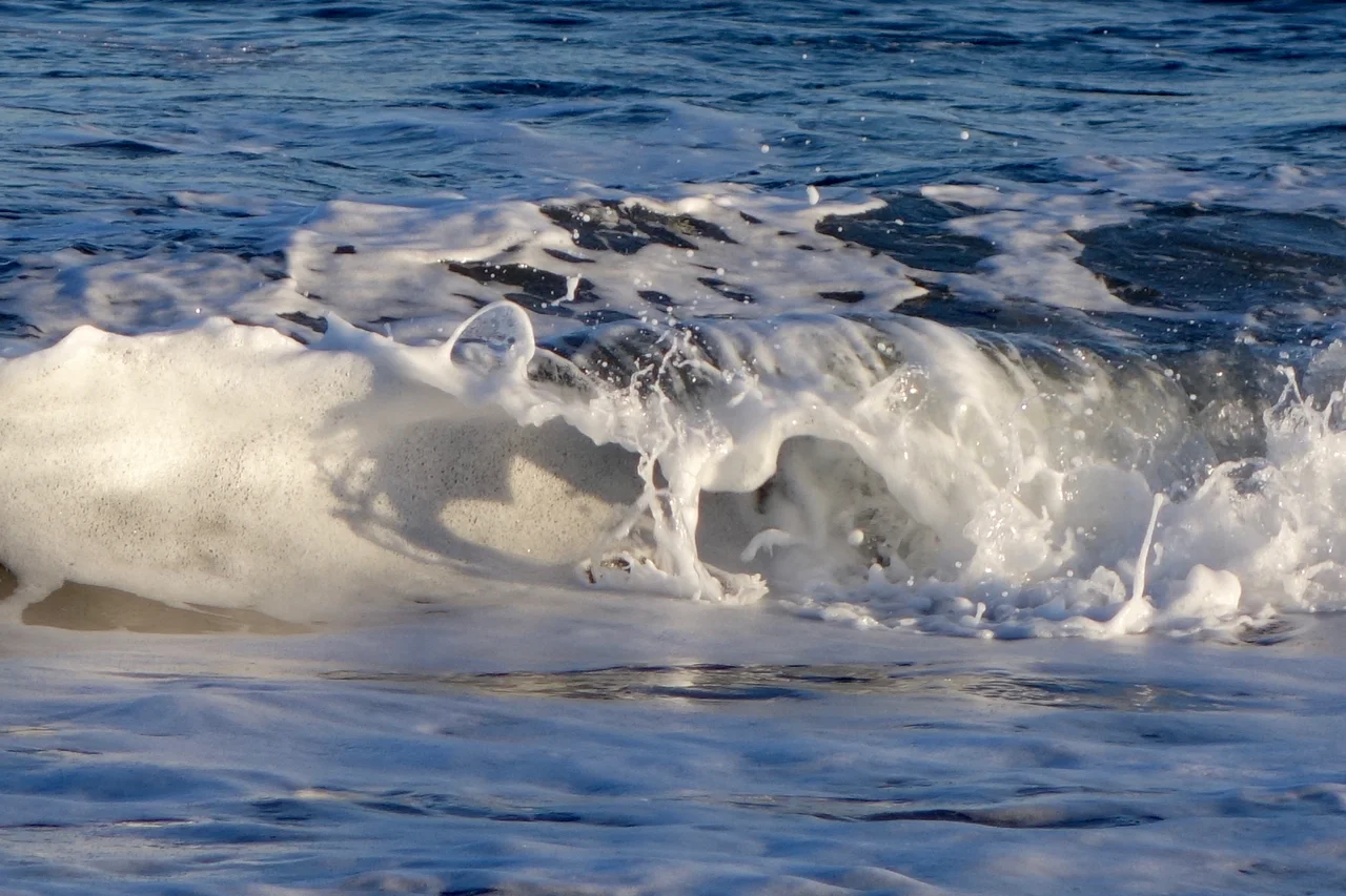 DSC09202.jpg