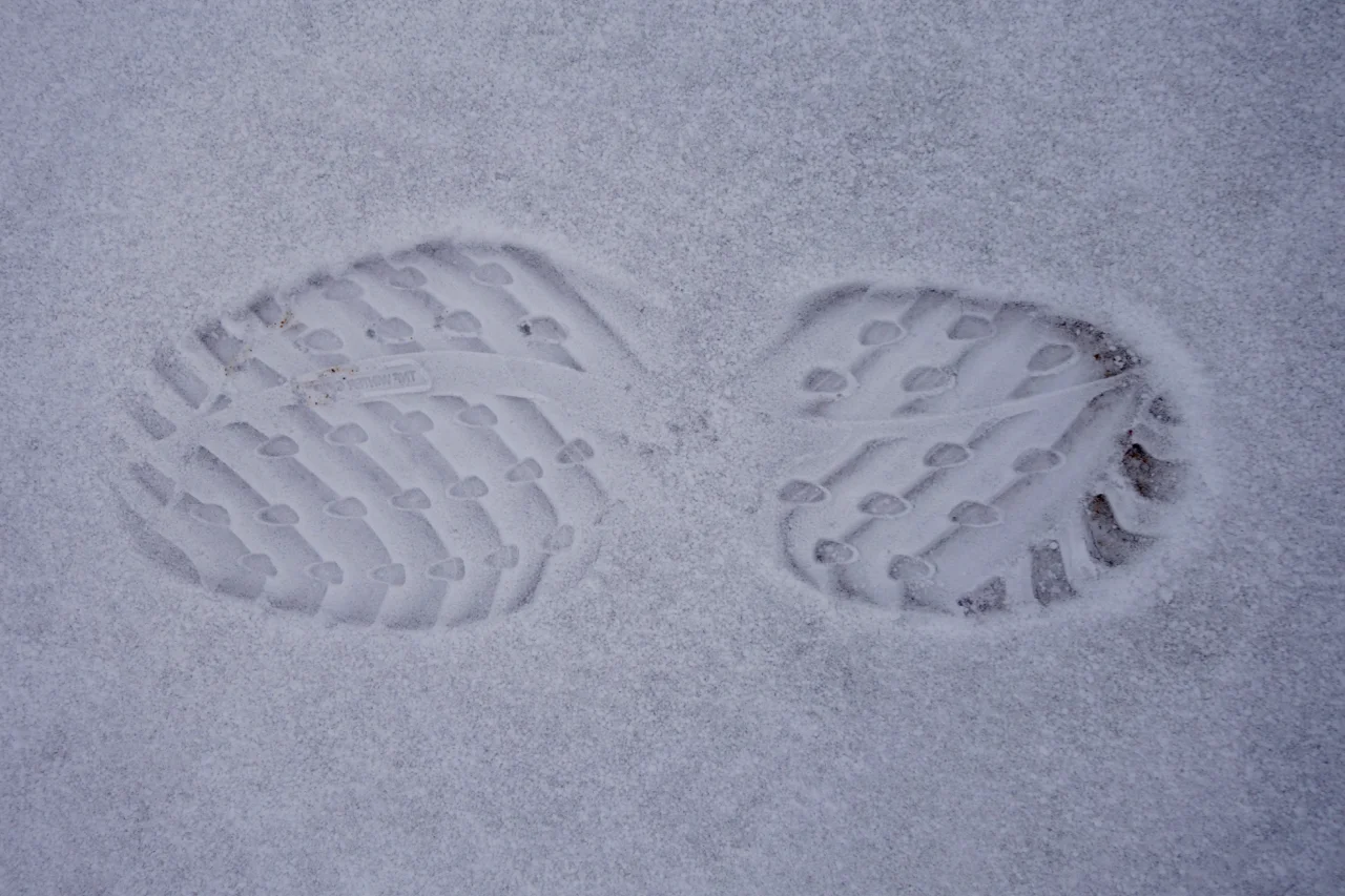 DSC02643.jpg