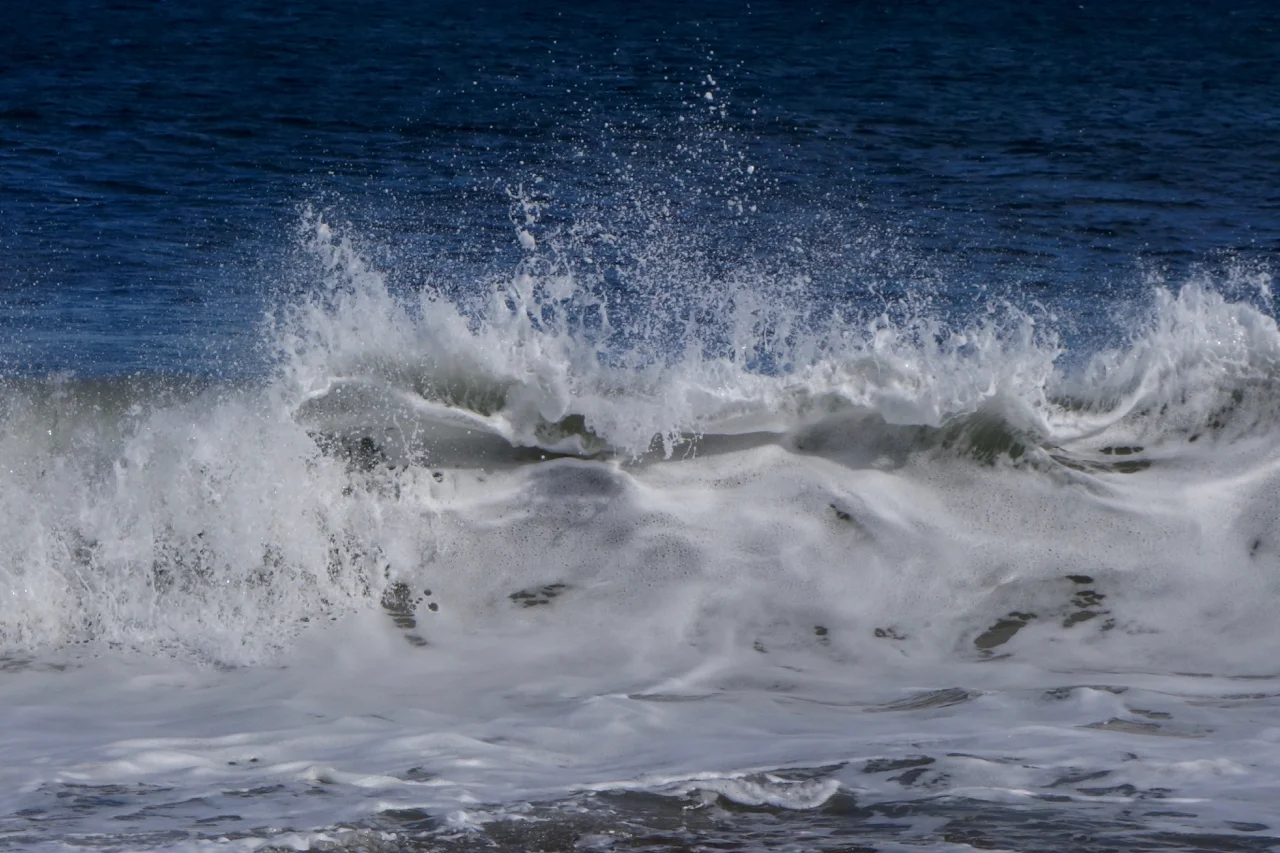 DSC08000.jpg