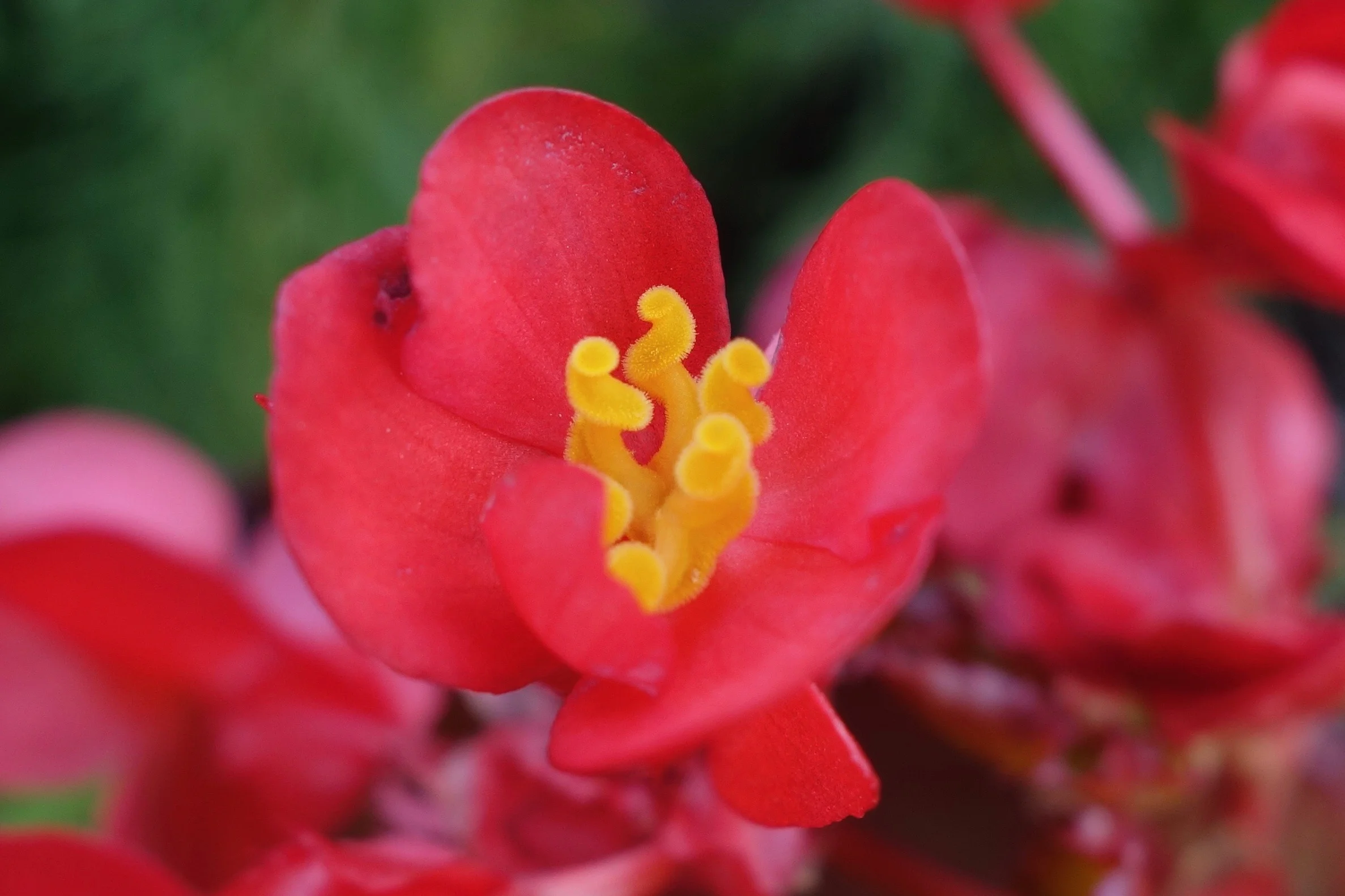 DSC09352.jpg