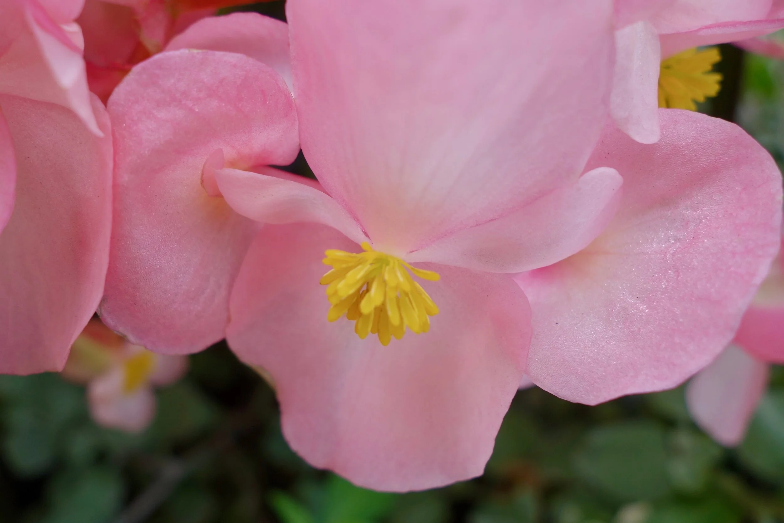 DSC09406.jpg