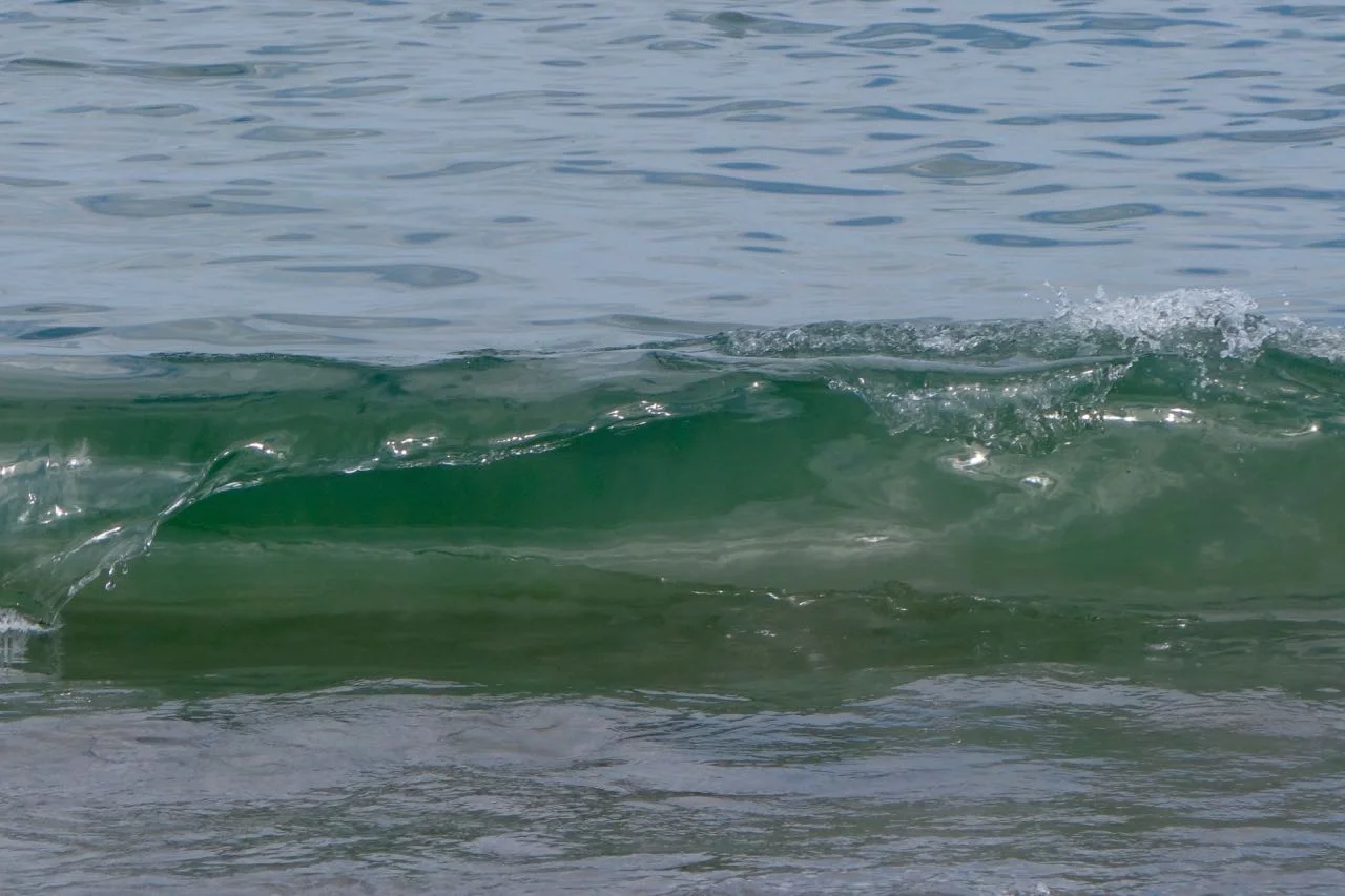 DSC02124.jpg