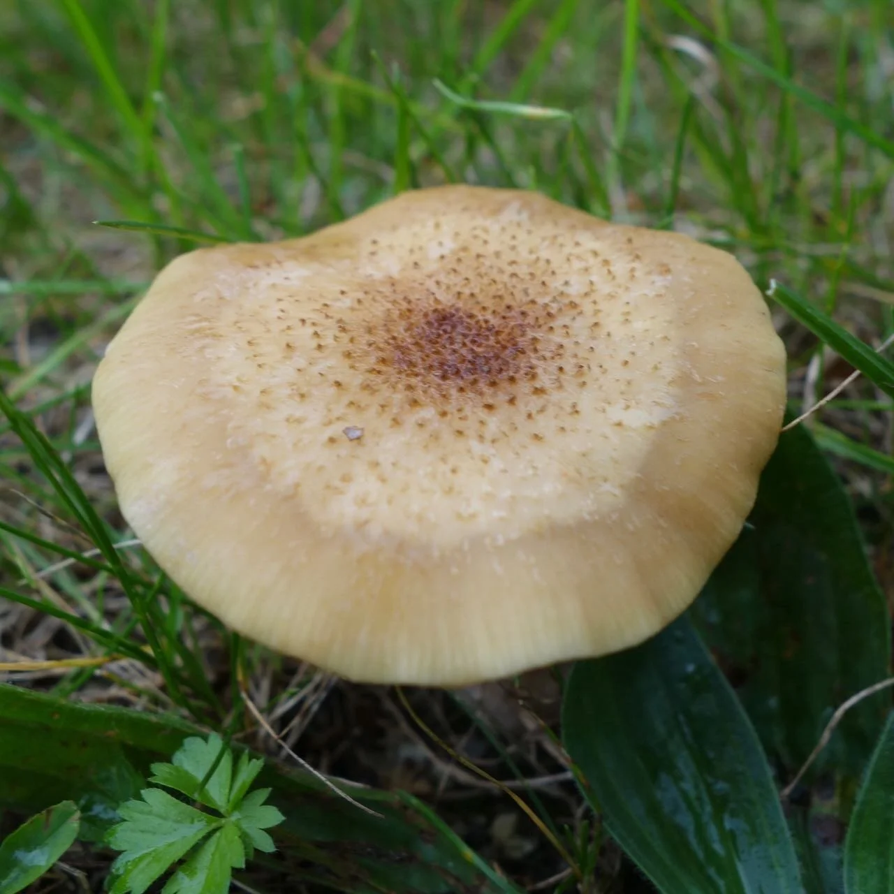 DSC07508.jpg