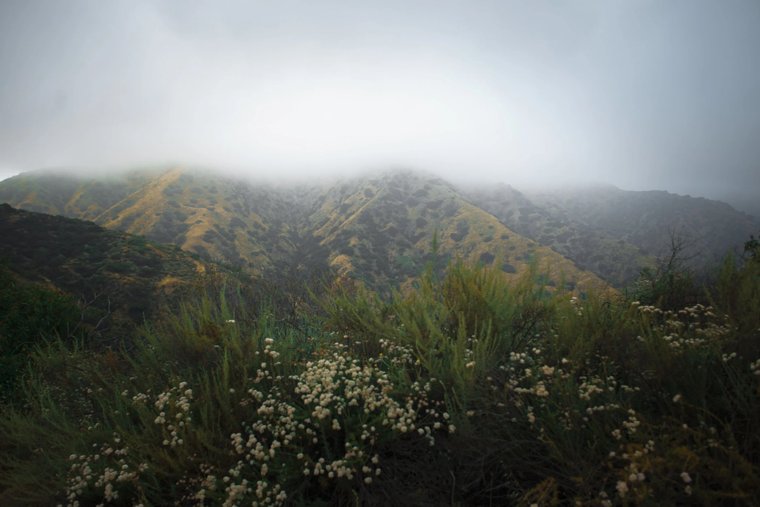 DSC_2790.jpg