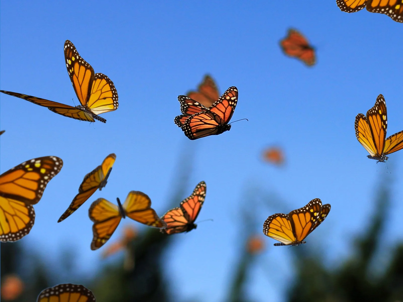 The Thoughts that Shape your Life