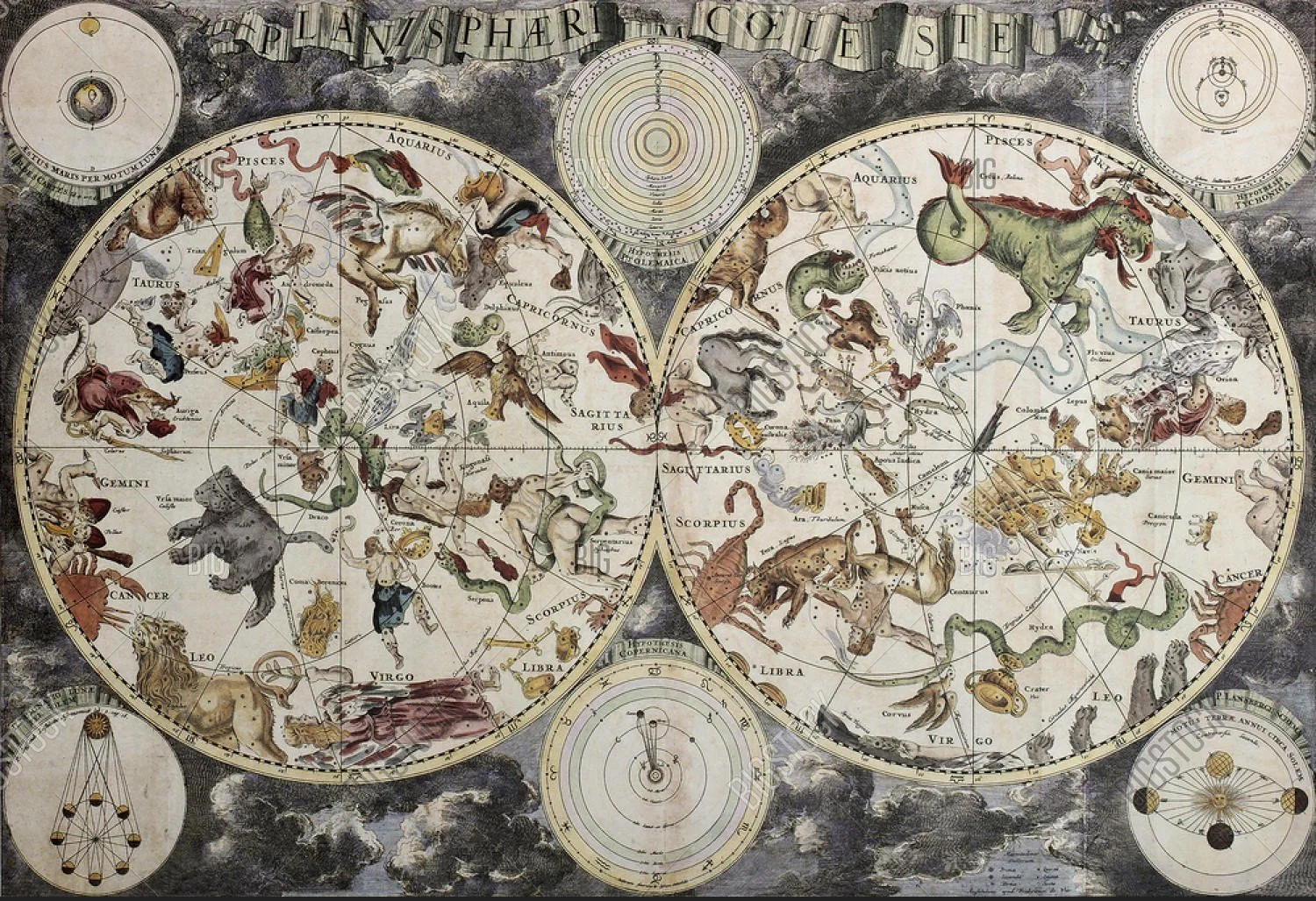 Astrology Chart Reading - Natal