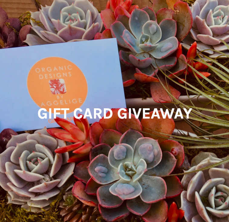 February Gift Card Giveaway At The CAMP!
