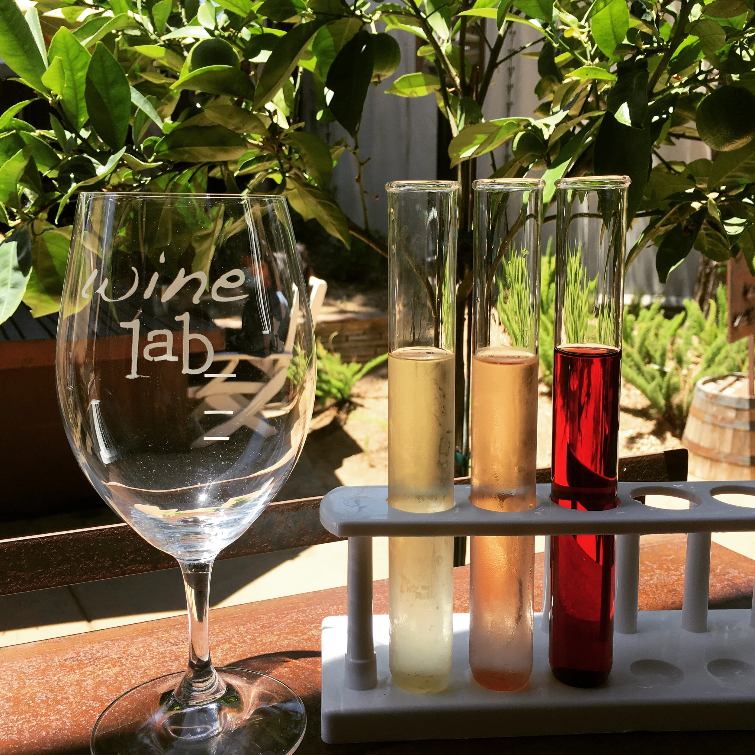 Get To Know The CAMPERS: Wine Lab!