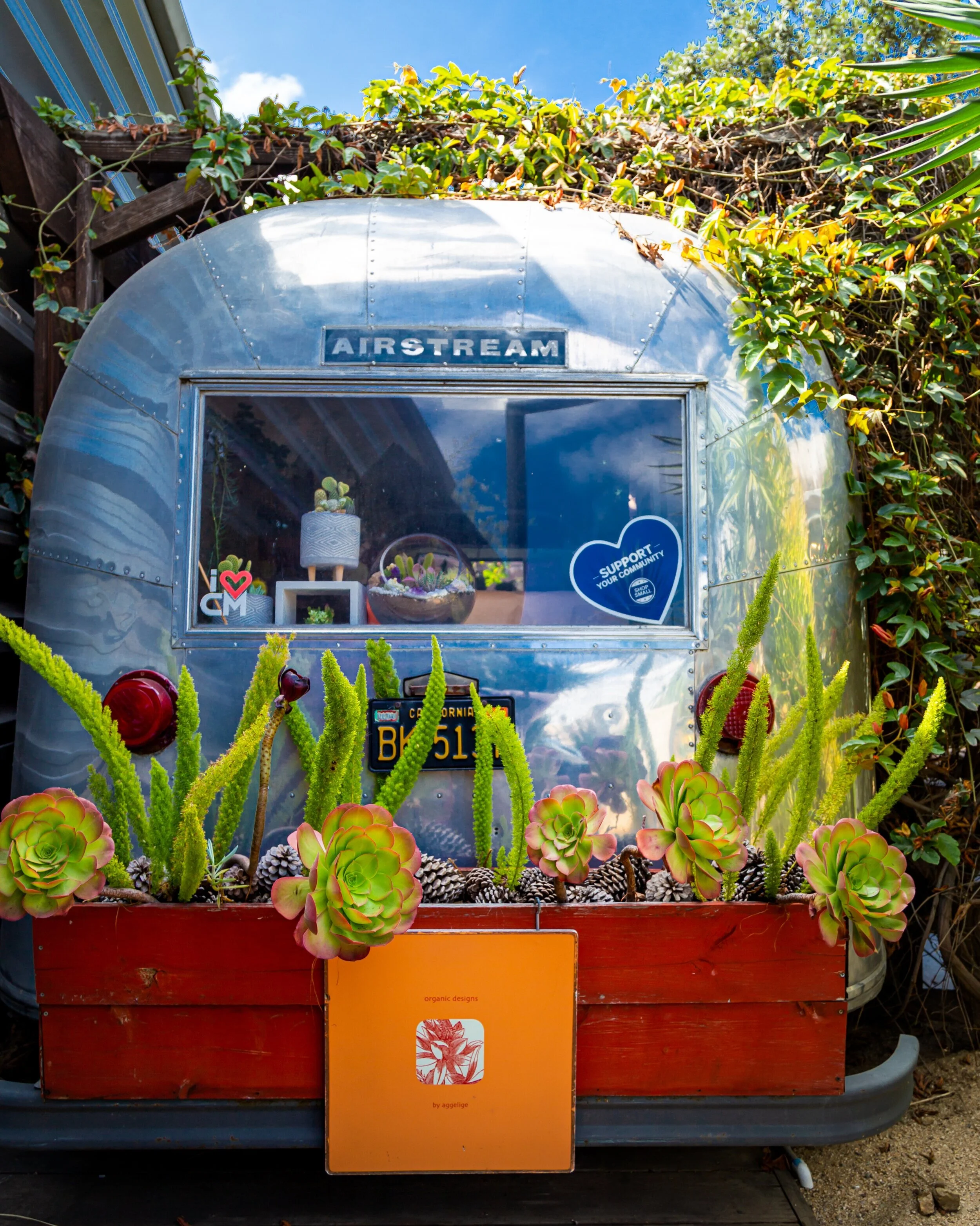 Get To Know The CAMPERS: Organic Designs By Aggelige