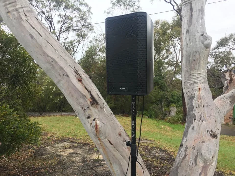 Linden_speaker.jpg