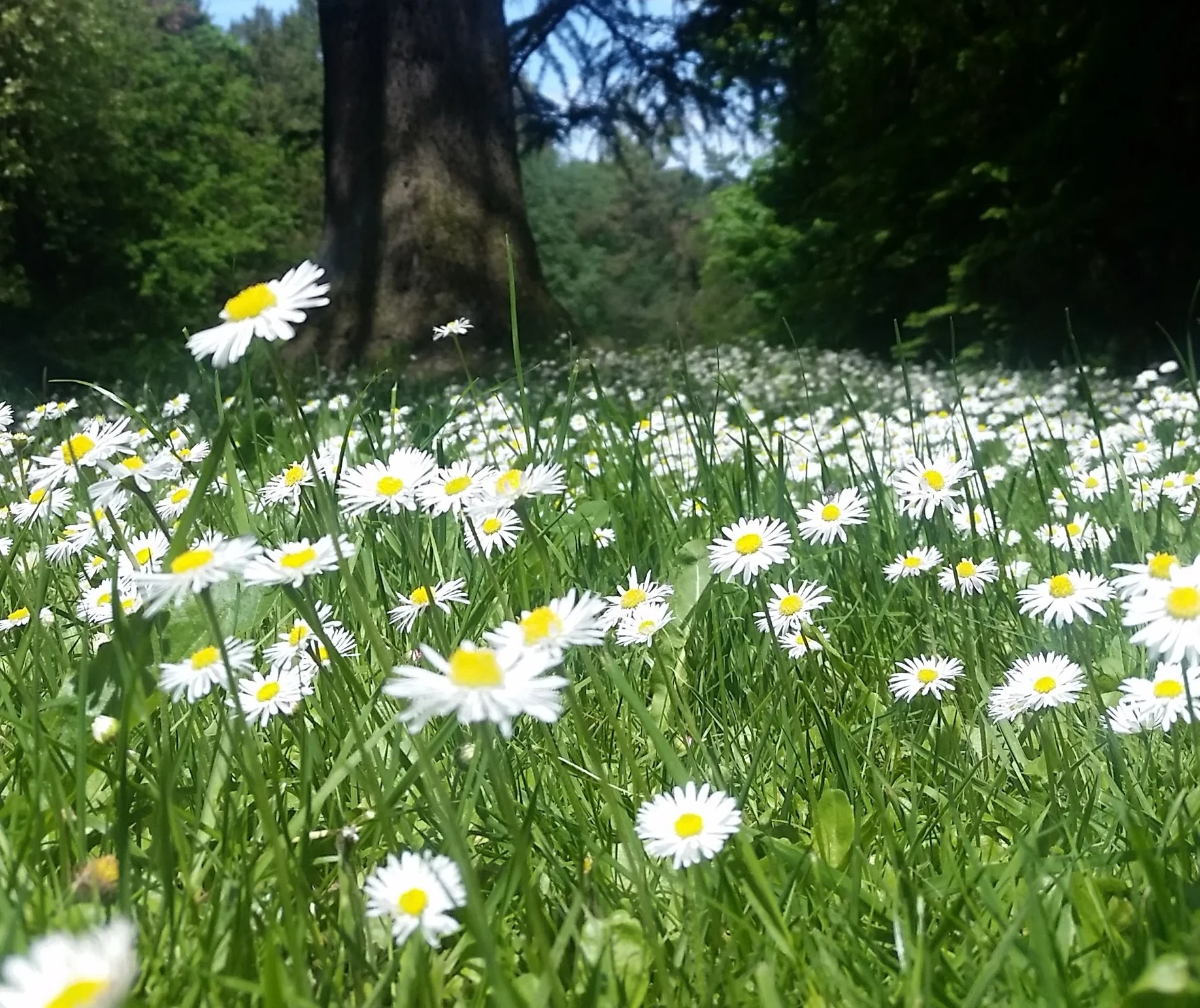 20170522_130922.jpg