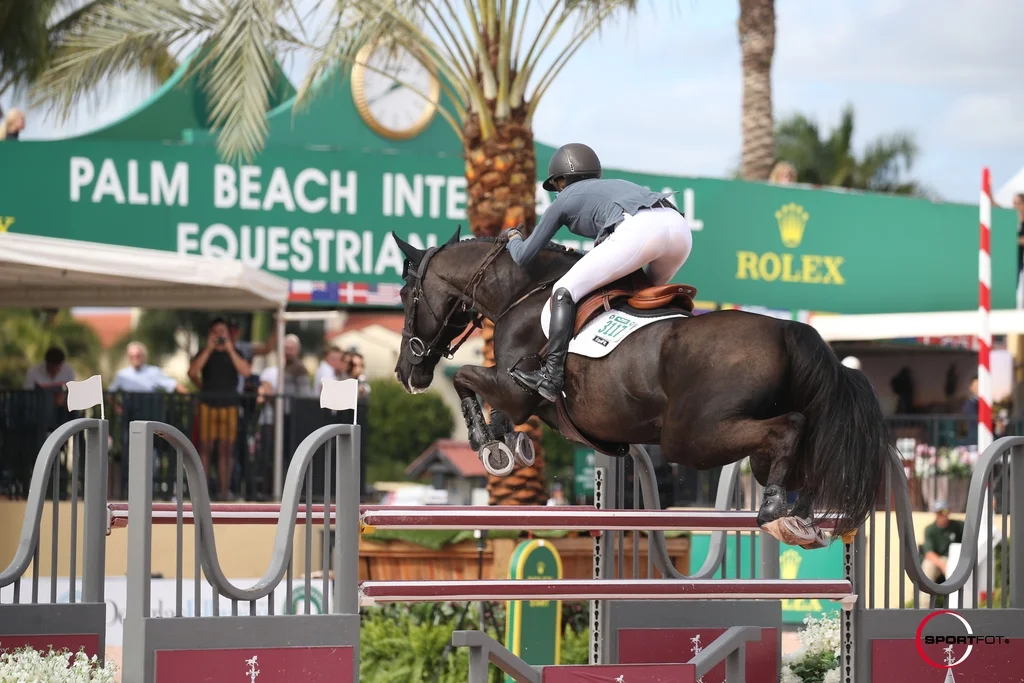 Winter Equestrian Festival