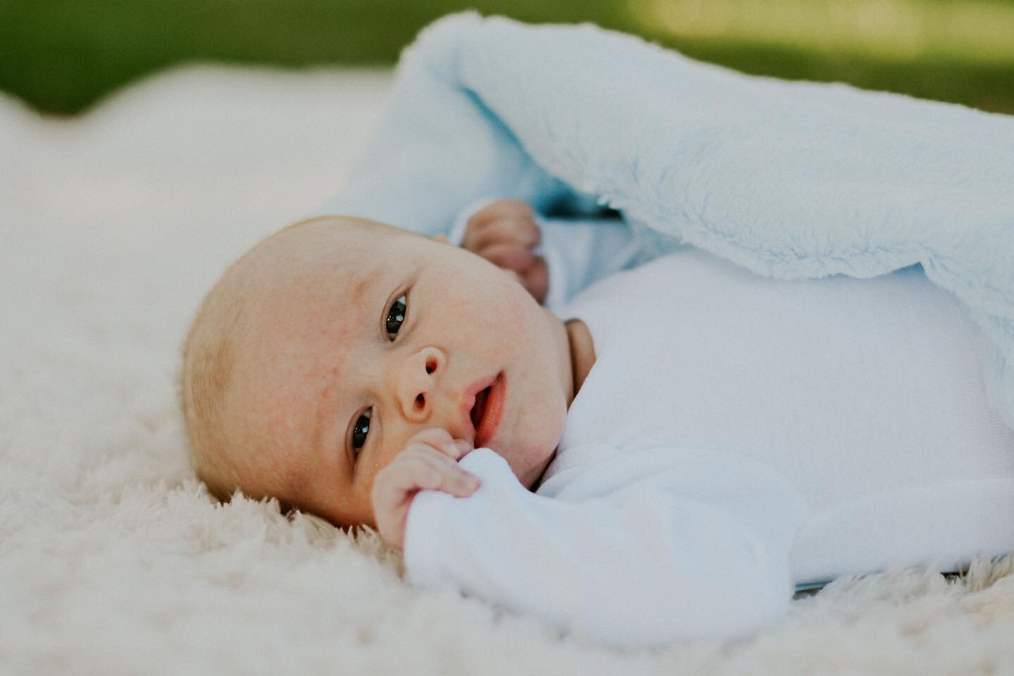 Does this picture give anyone else baby fever? Just me? 😂 newborn sessions are the BEST! 
.
.
.
.
.
.
🏷 
#colorado #denver #coloradophotographer #coloradophotography #denverphotographer #denverfamilyphotographer #coloradofamilyphotographer #newborn