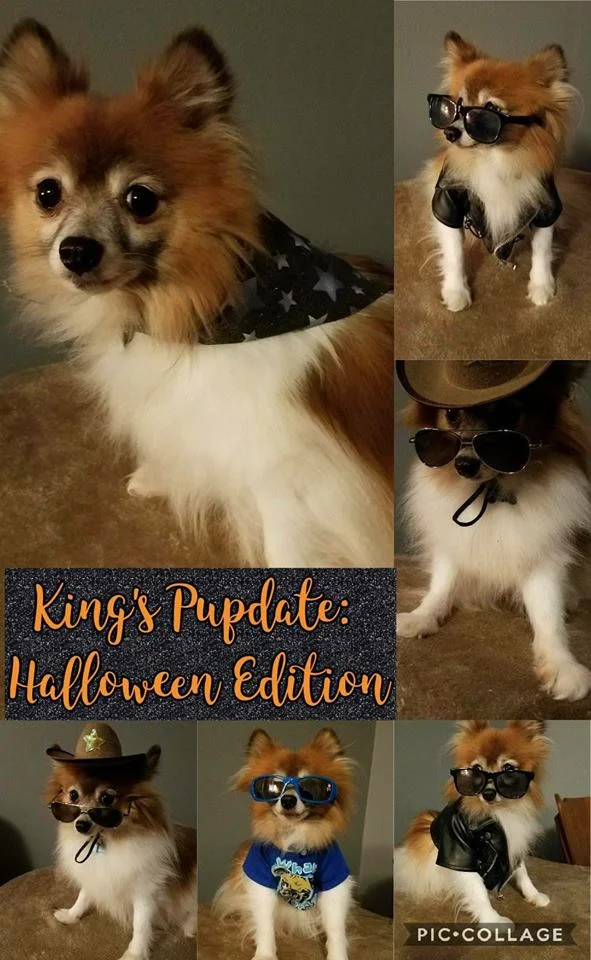 Halloween.jpg