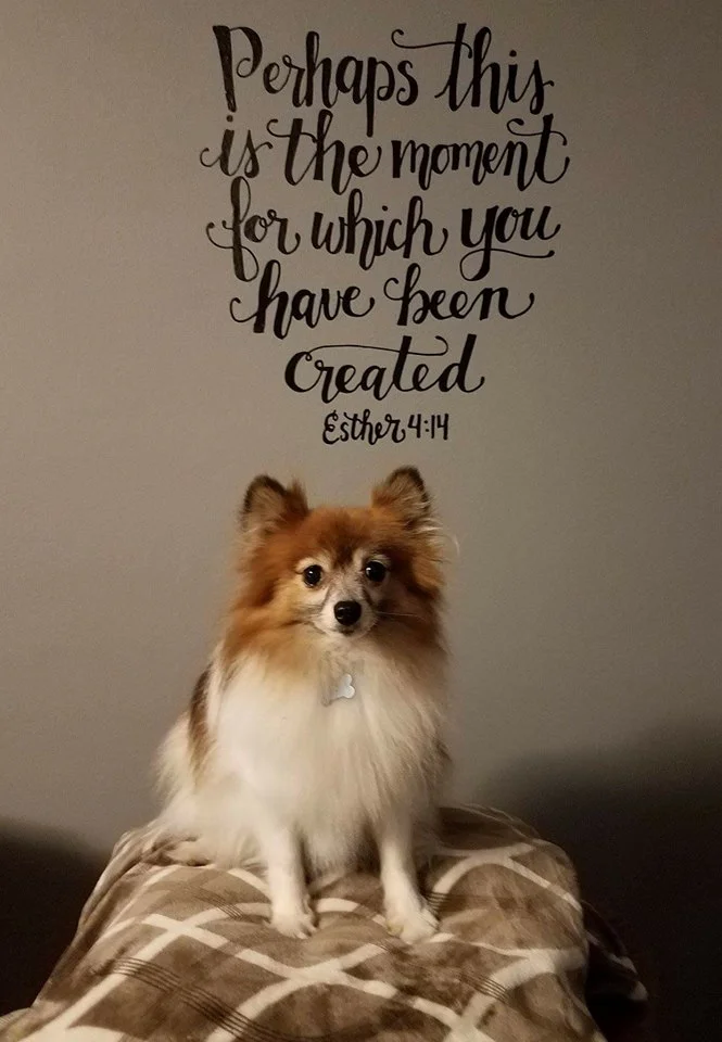 On Finding Our Purpose