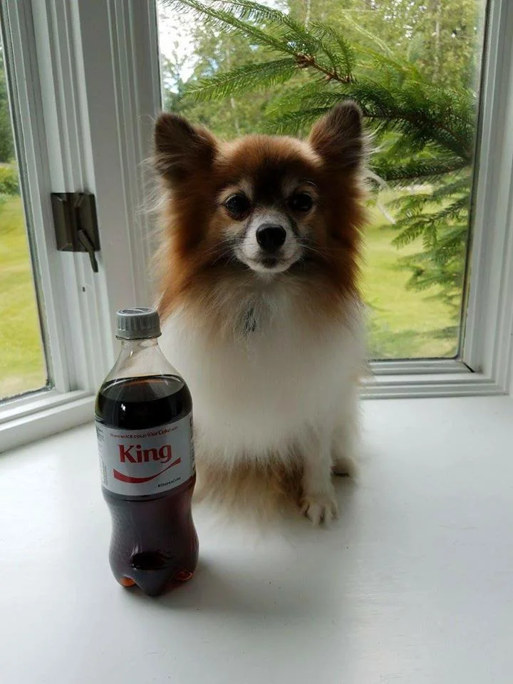 little guys do big things.jpg