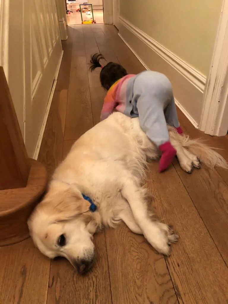 A young girl in pajamas is kneeling on the floor, hugging a large Golden Retriever dog lying on its side in a hallway.