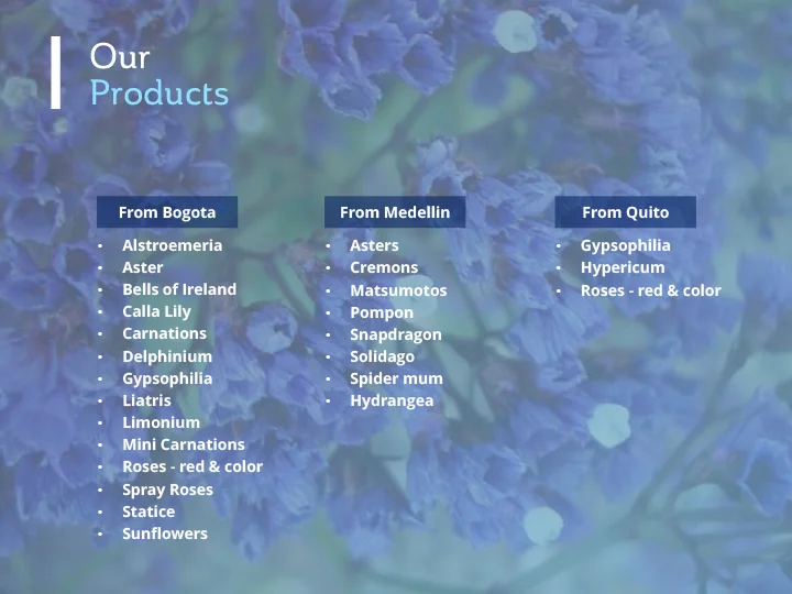 QBN_Presentation_ScreenResolution1 copy-6.jpg