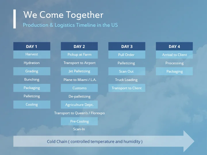 QBN_Presentation_ScreenResolution1 copy-10.jpg