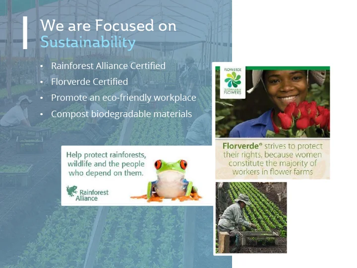 QBN_Presentation_ScreenResolution1 copy-13.jpg