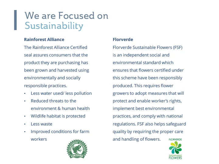 QBN_Presentation_ScreenResolution1 copy-14.jpg