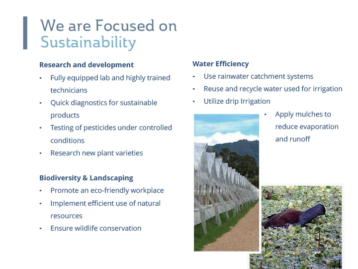 QBN_Presentation_ScreenResolution1 copy-15.jpg