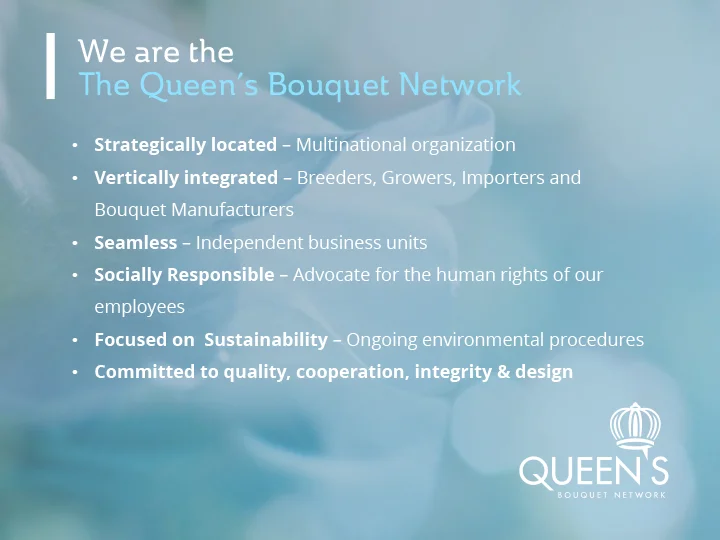 QBN_Presentation_ScreenResolution1 copy-16.jpg