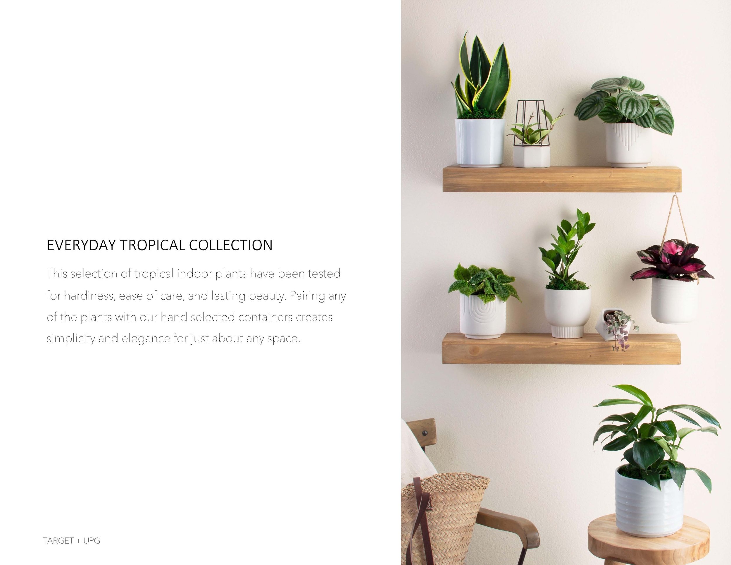 Target Presentation Everyday Fall 2022_Page_02.jpg