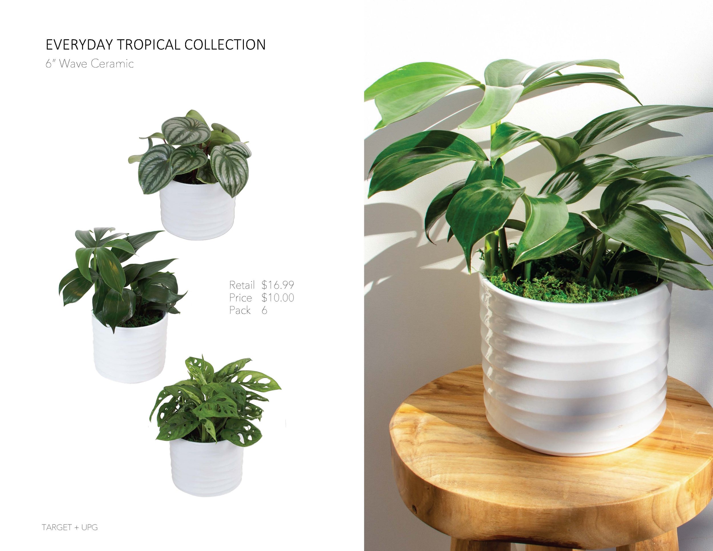 Target Presentation Everyday Fall 2022_Page_04.jpg