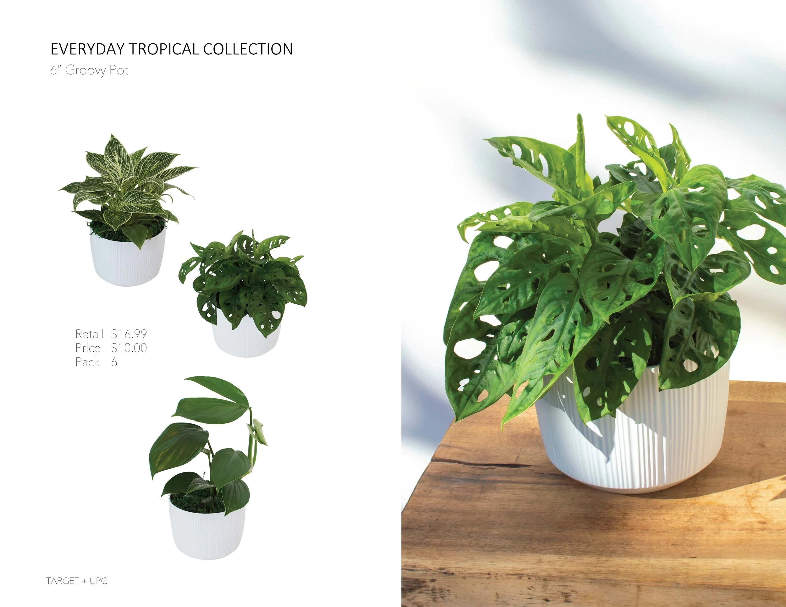 Target Presentation Everyday Fall 2022_Page_05.jpg