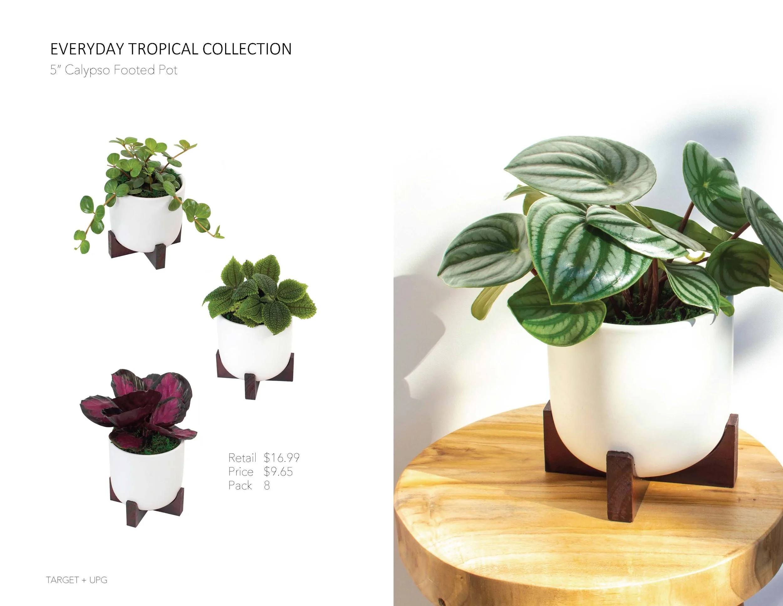 Target Presentation Everyday Fall 2022_Page_06.jpg