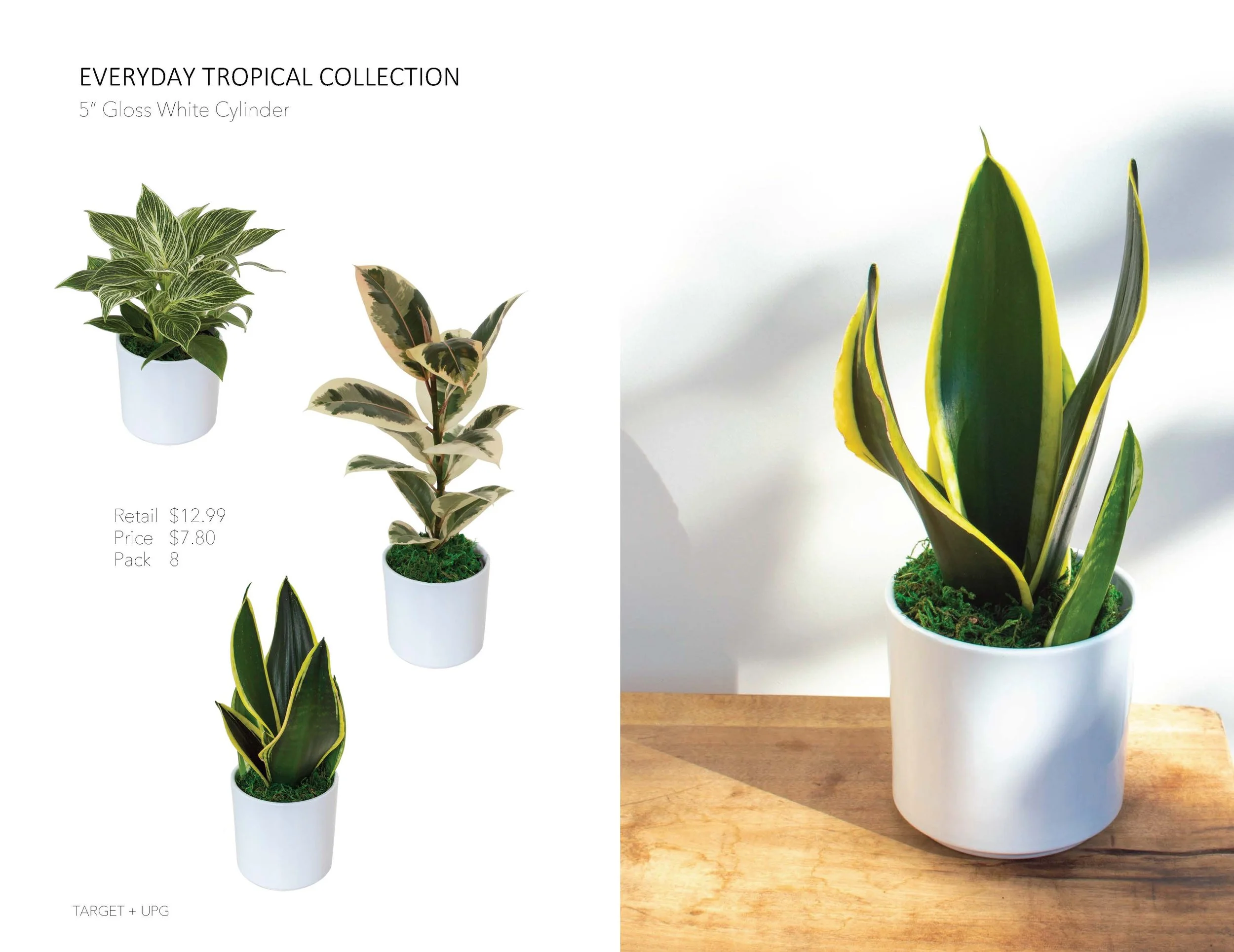 Target Presentation Everyday Fall 2022_Page_07.jpg