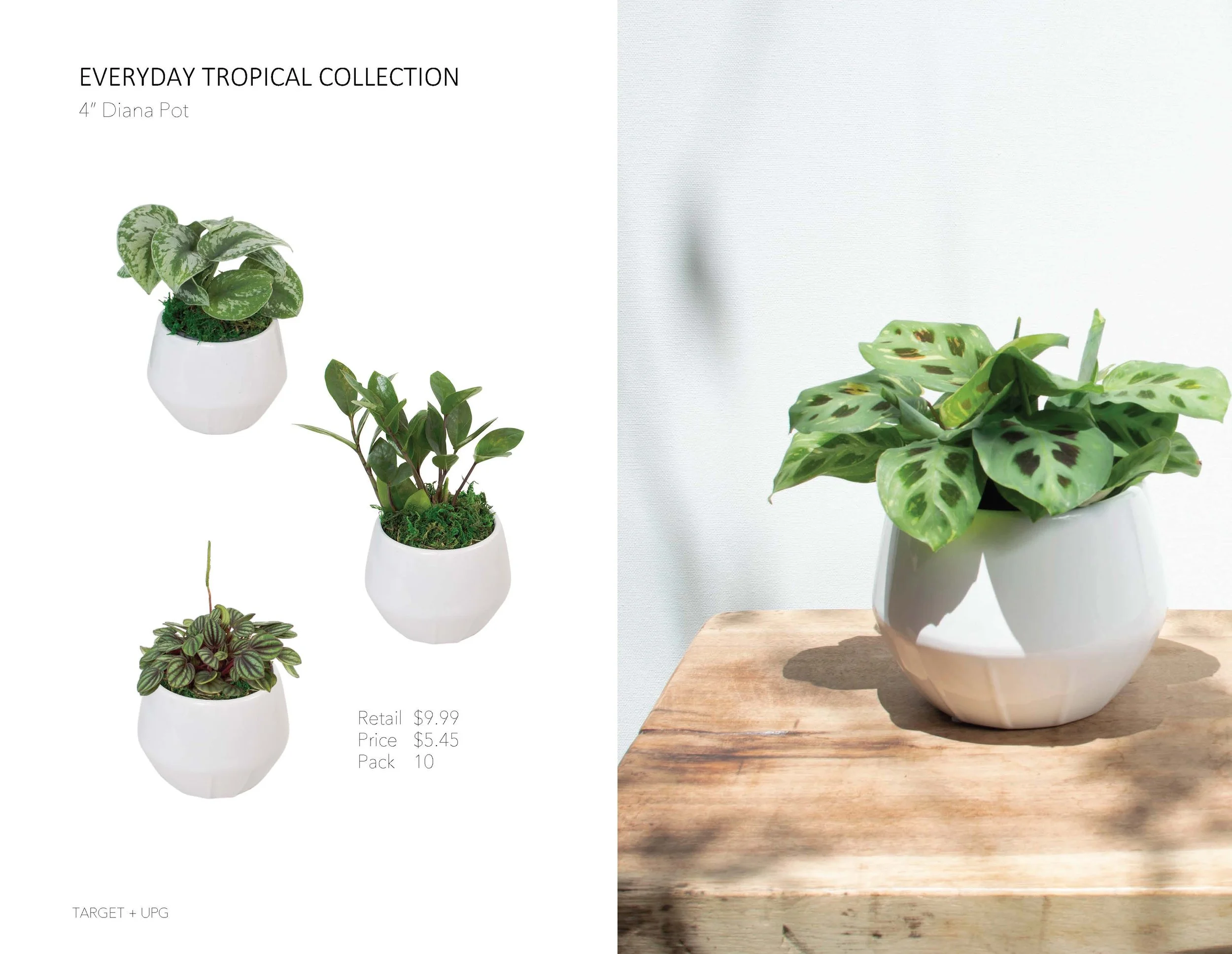 Target Presentation Everyday Fall 2022_Page_09.jpg