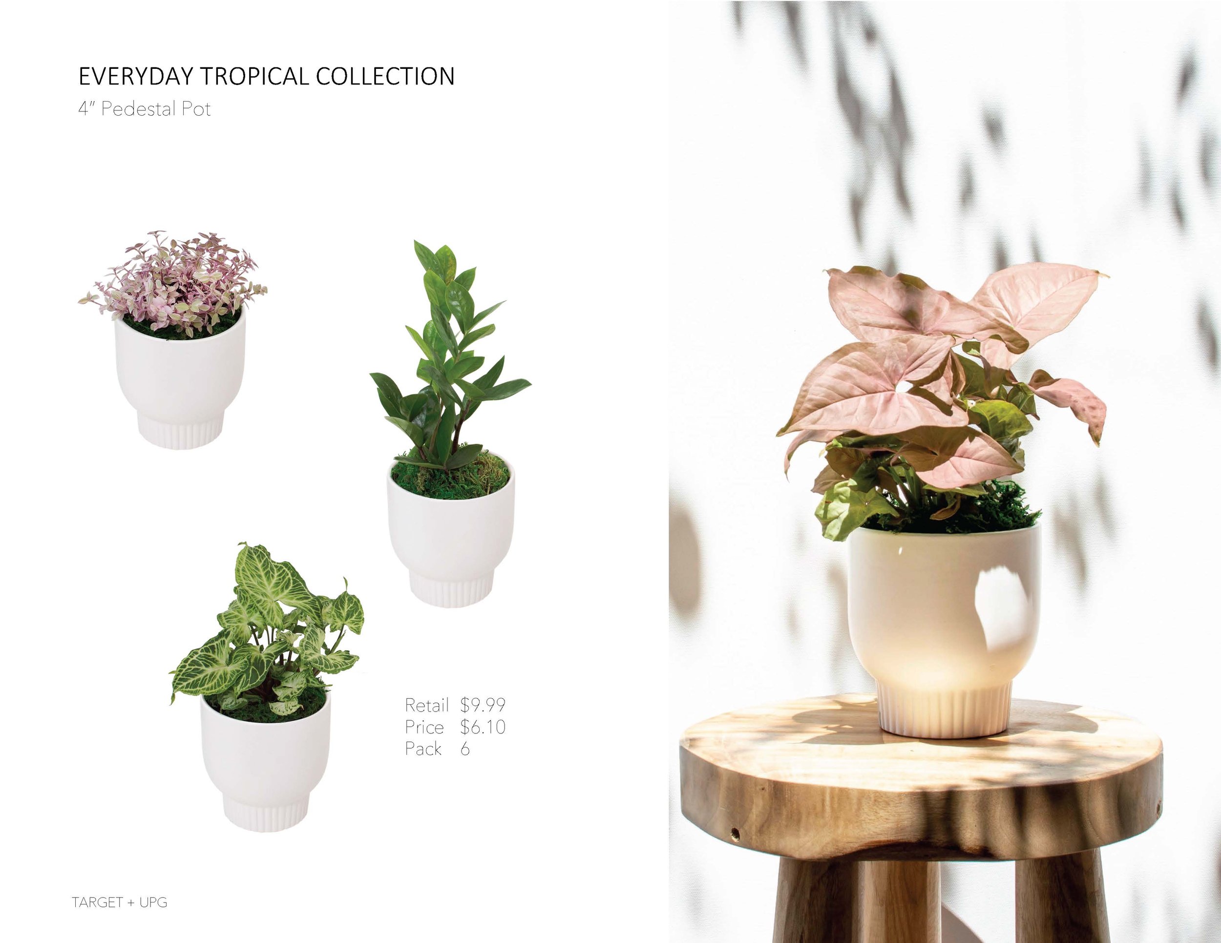 Target Presentation Everyday Fall 2022_Page_11.jpg