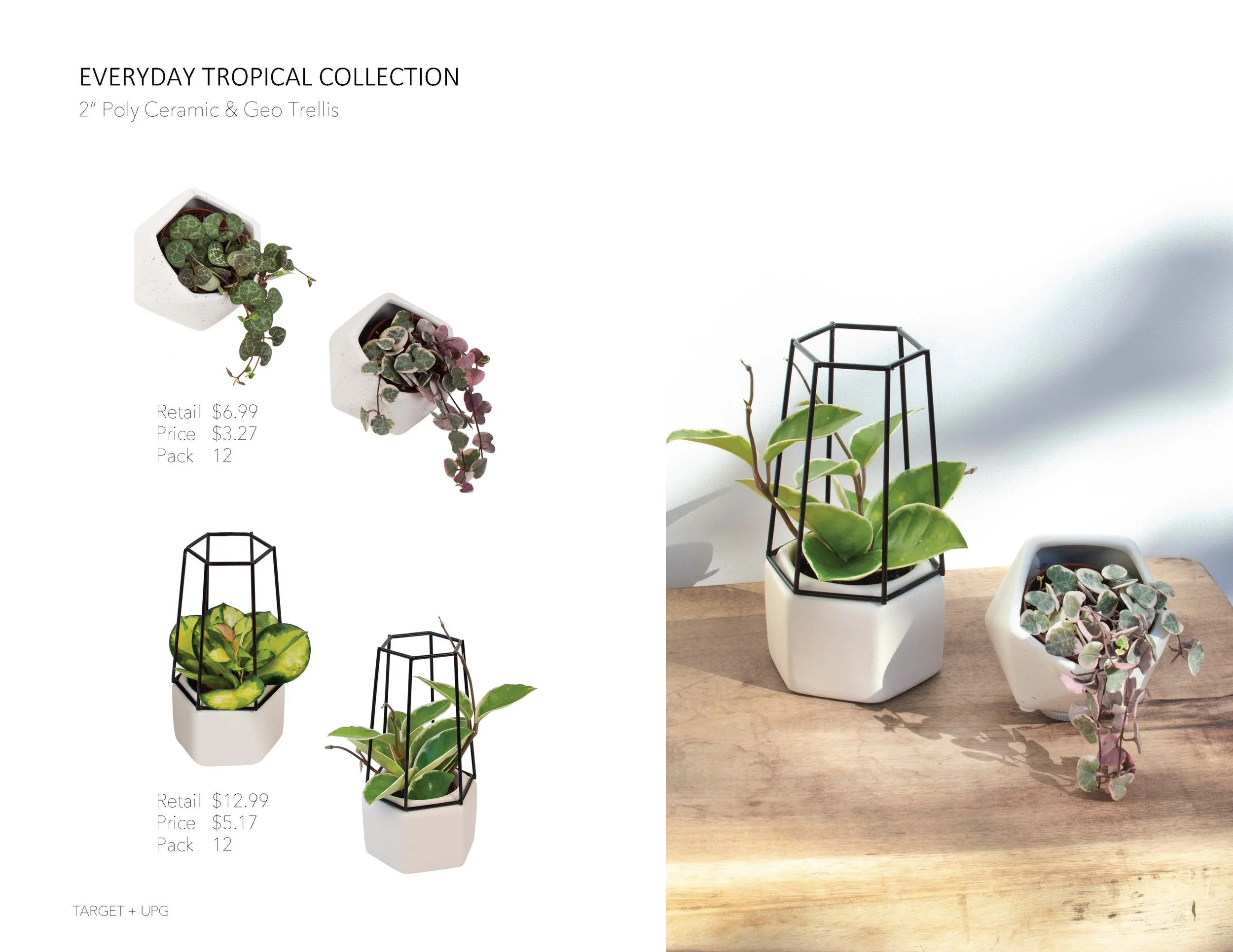 Target Presentation Everyday Fall 2022_Page_12.jpg