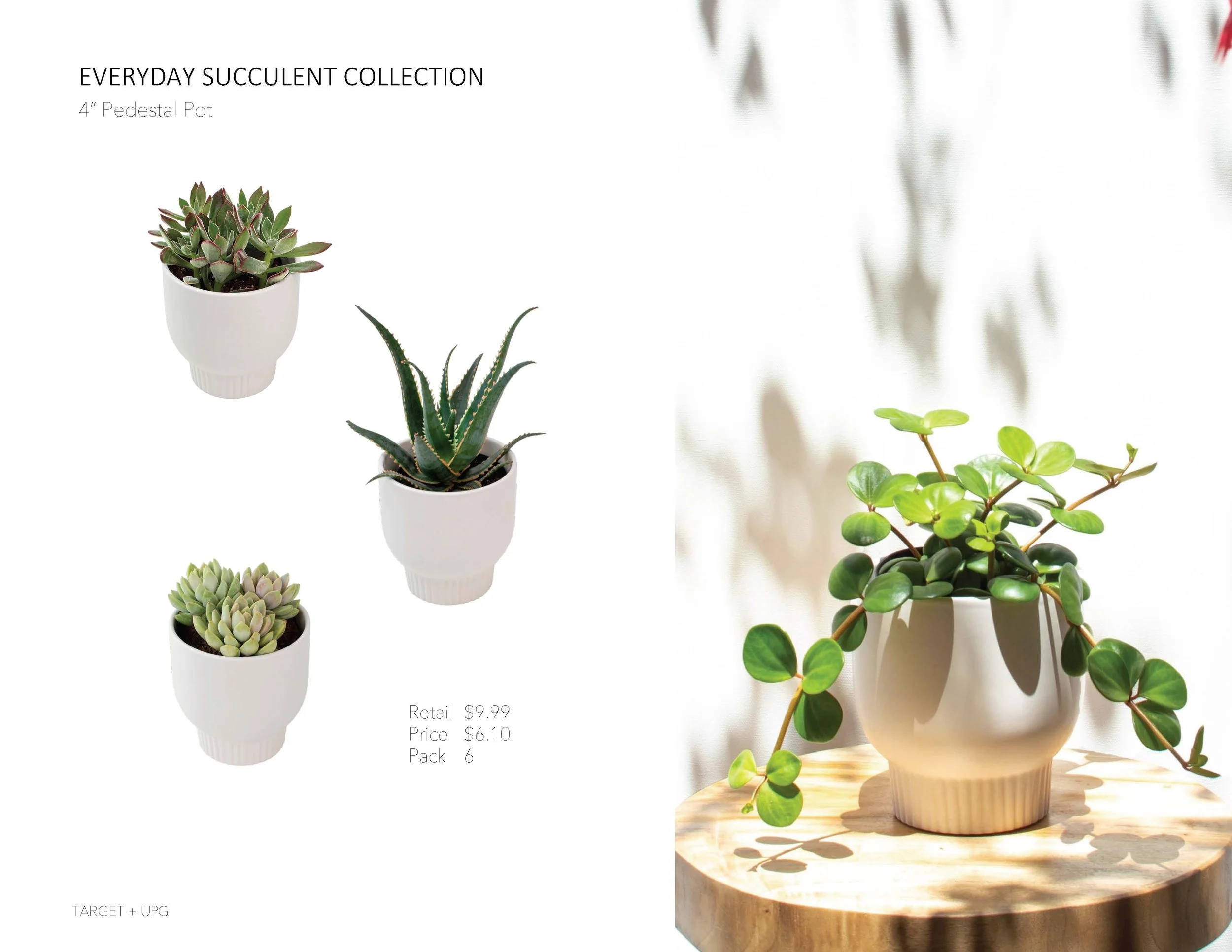 Target Presentation Everyday Fall 2022_Page_15.jpg