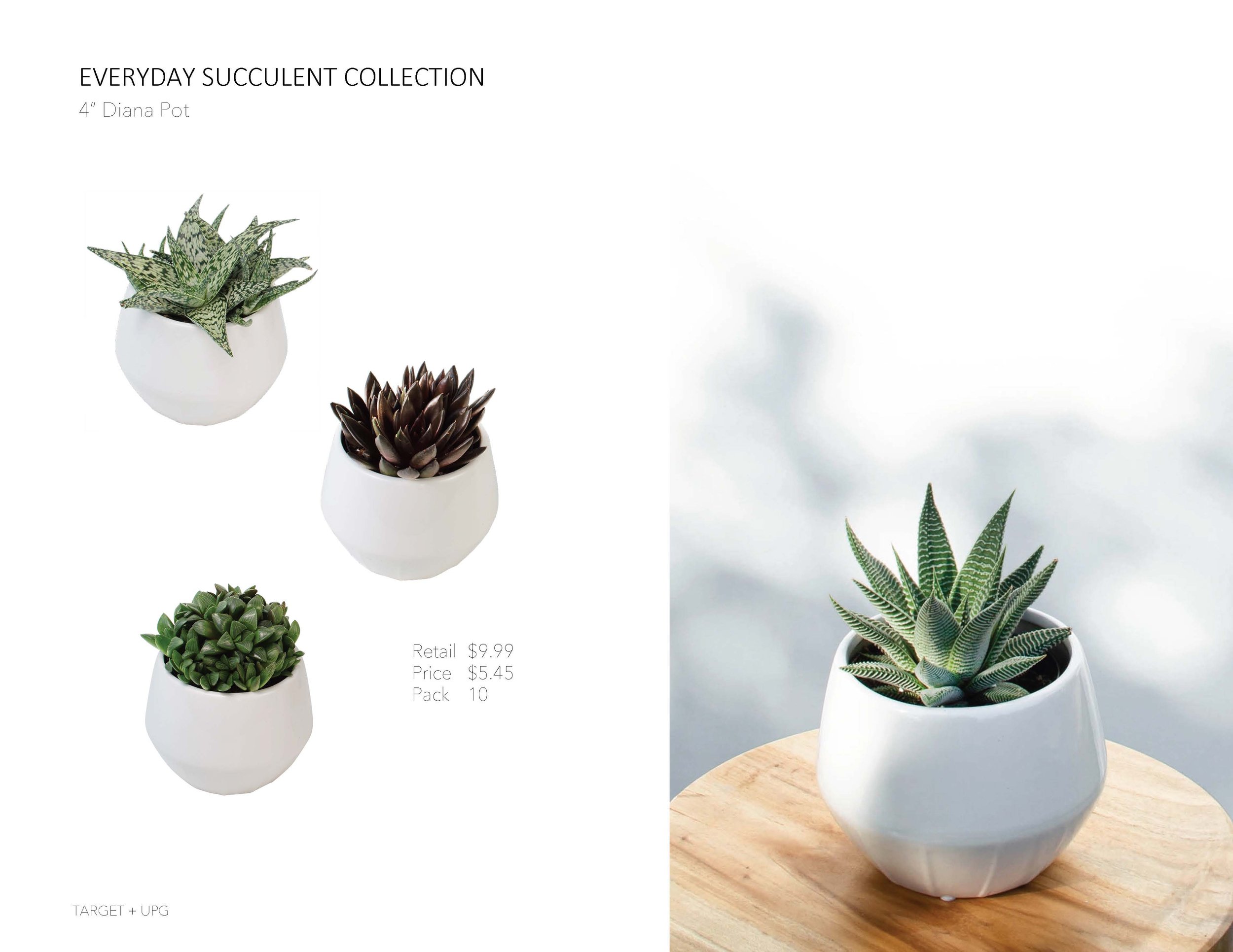 Target Presentation Everyday Fall 2022_Page_16.jpg