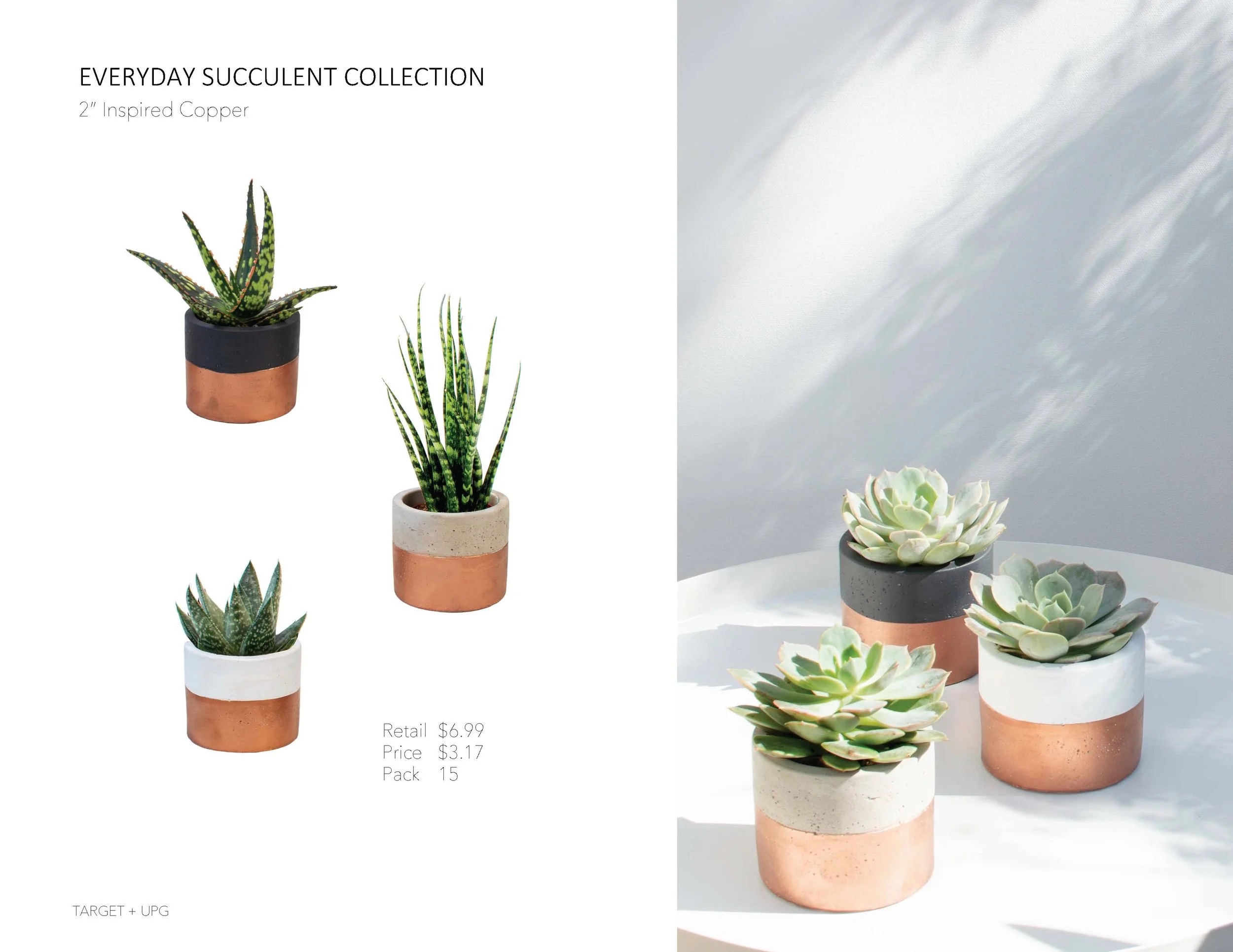 Target Presentation Everyday Fall 2022_Page_17.jpg