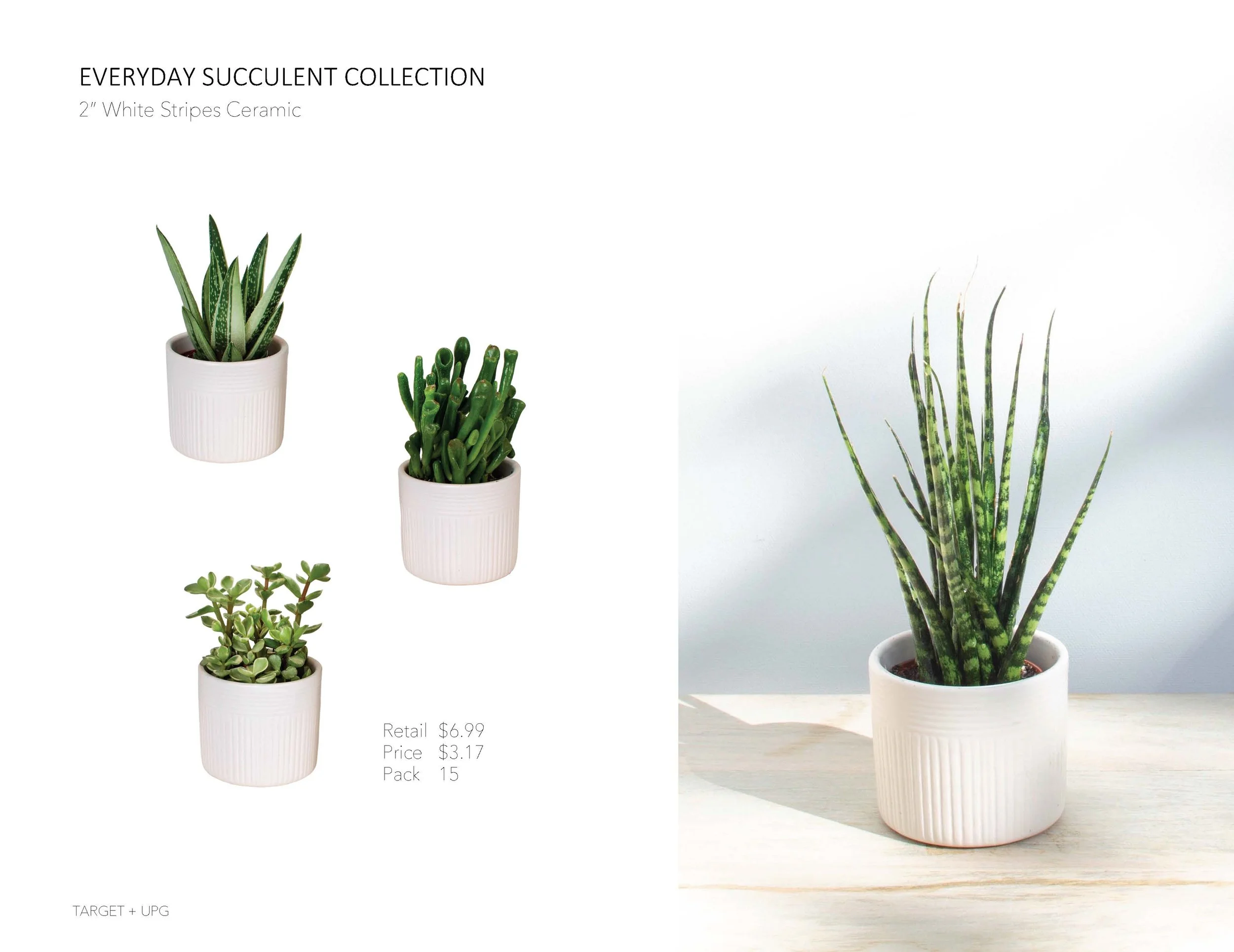 Target Presentation Everyday Fall 2022_Page_19.jpg