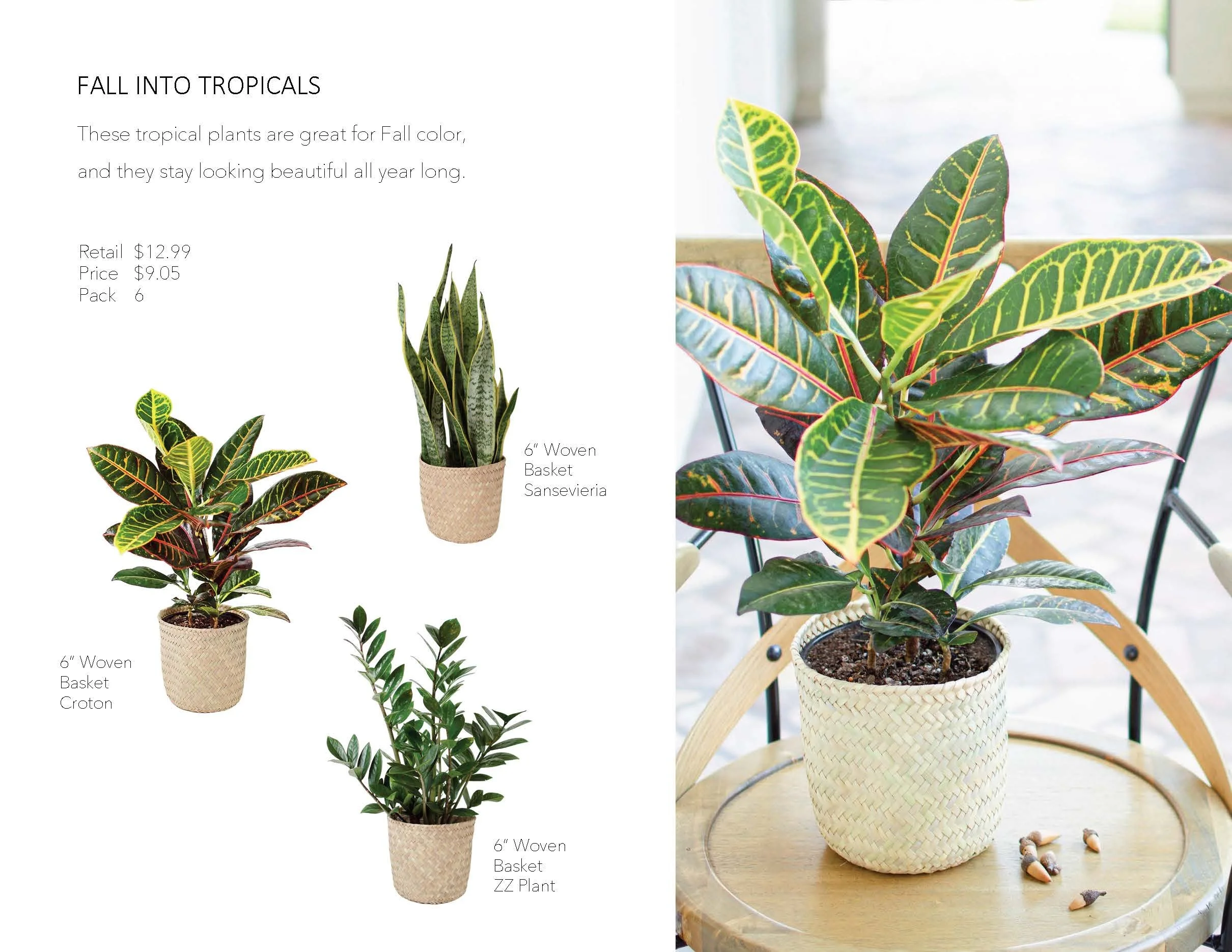 Target Presentation Everyday Fall 2022_Page_23.jpg