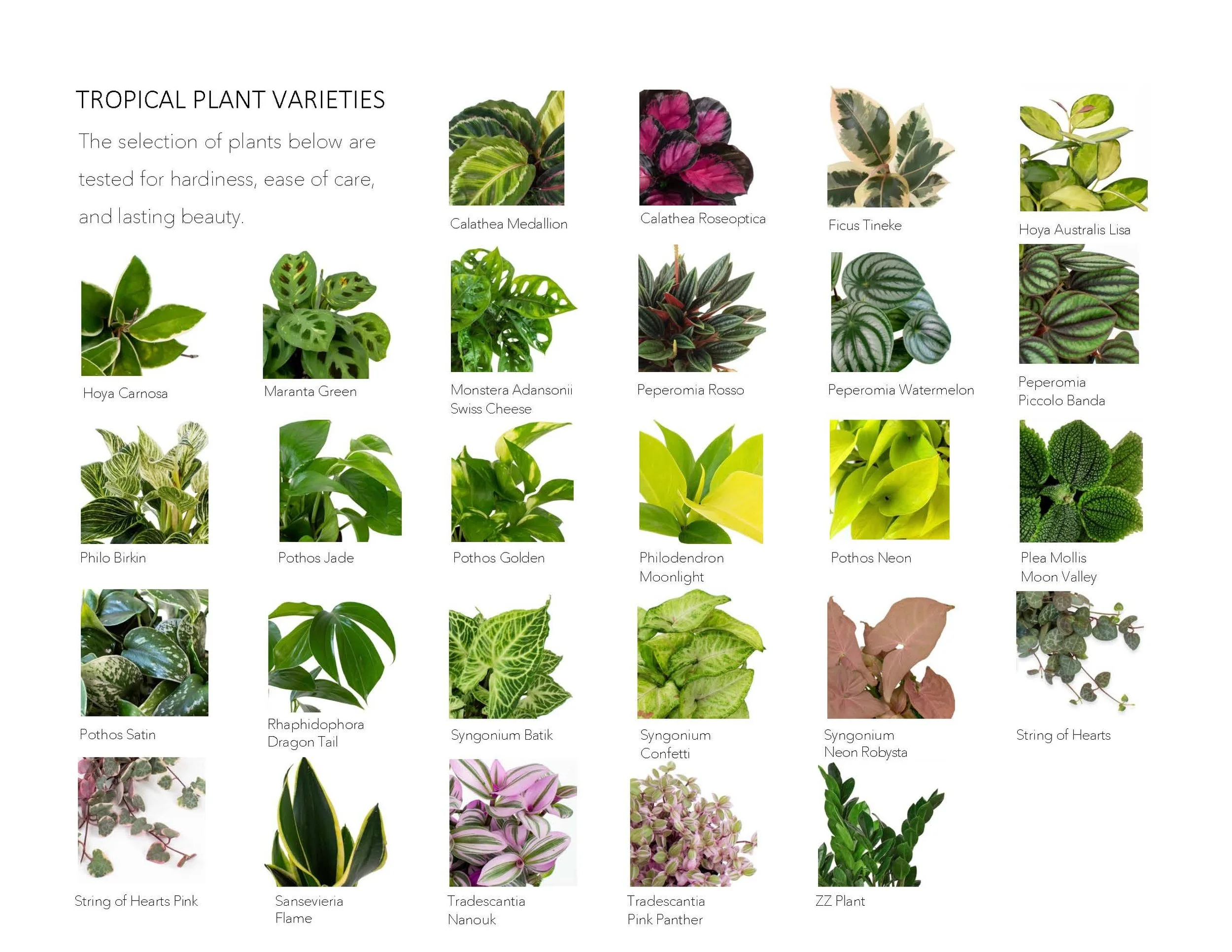 Target Presentation Everyday Fall 2022_Page_24.jpg