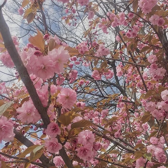 Proof that I&rsquo;ve seen them too