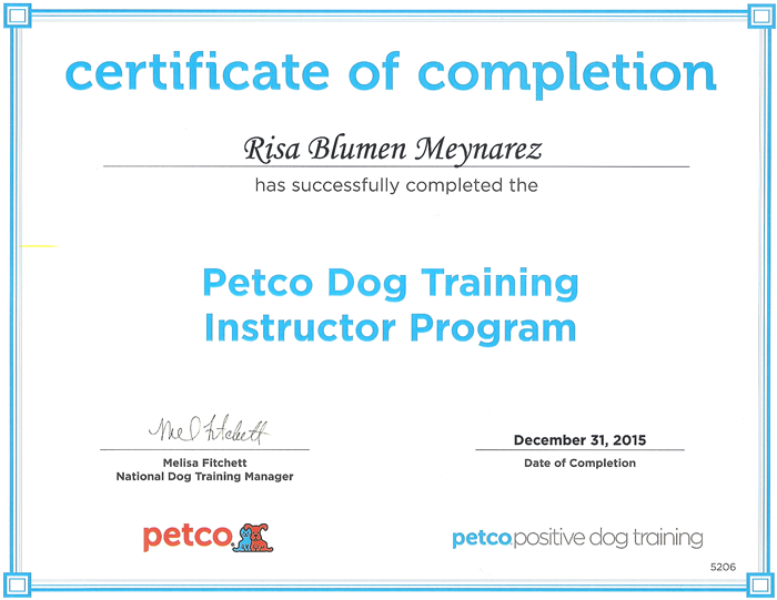 certified dog trainer