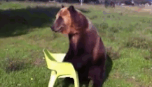 "Sit." "Sit." "Sit" "Sit" Please? Please "Sit"