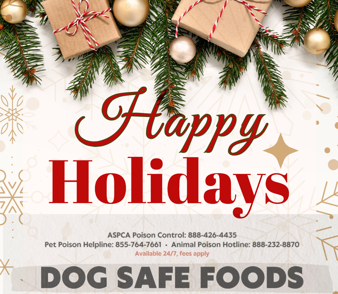 Prepare for Dog Safe Holidays!