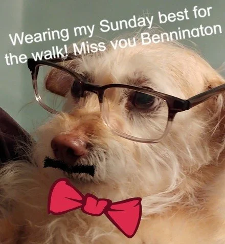 Hope to see you Sunday! 11am on 11th of January 2026. Shiny Sparkles Montessori School is where we'll meet. Walk is open to current and former clients. RSVP to risa@learnfromgeorge.com  #doglover #dogwalk