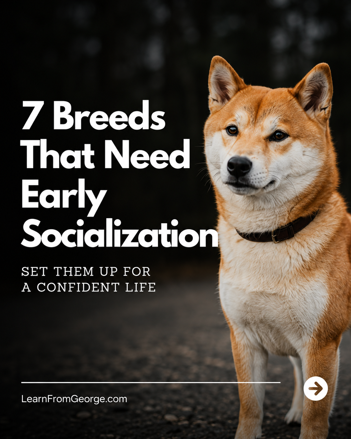 Does your dog require different early training